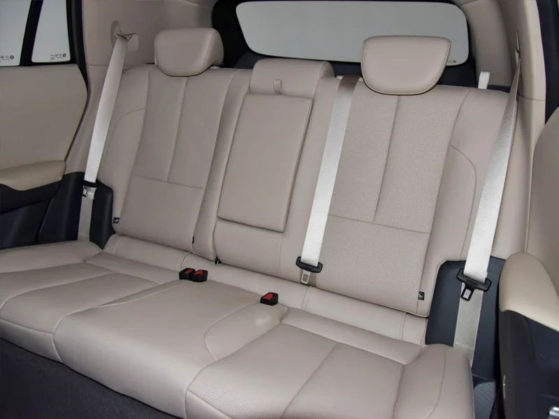 Dongfeng Nammi06